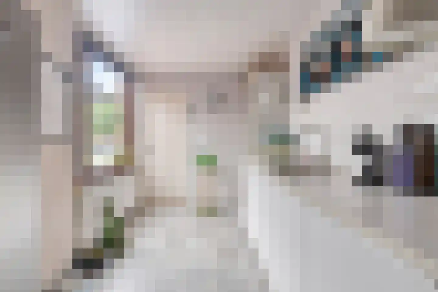 Wouterij 35 Koewacht thumbnail 12