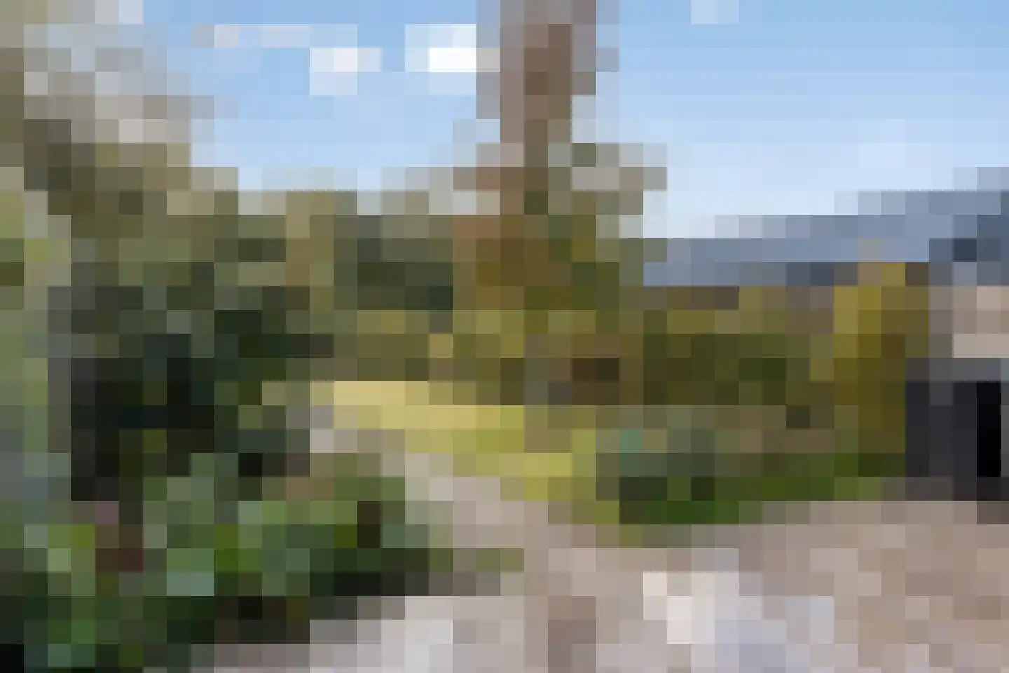 Wouterij 35 Koewacht thumbnail 22