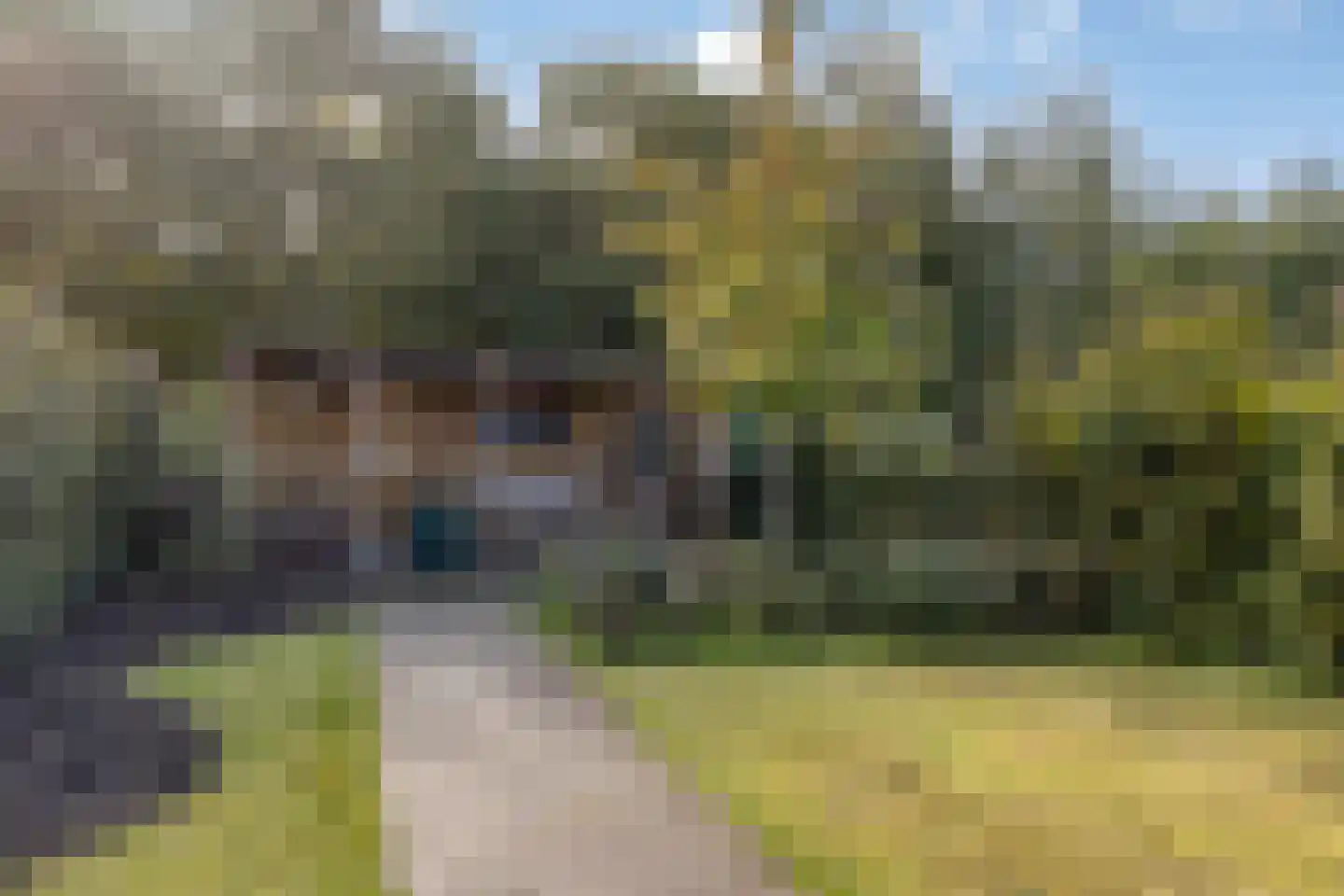 Wouterij 35 Koewacht thumbnail 25