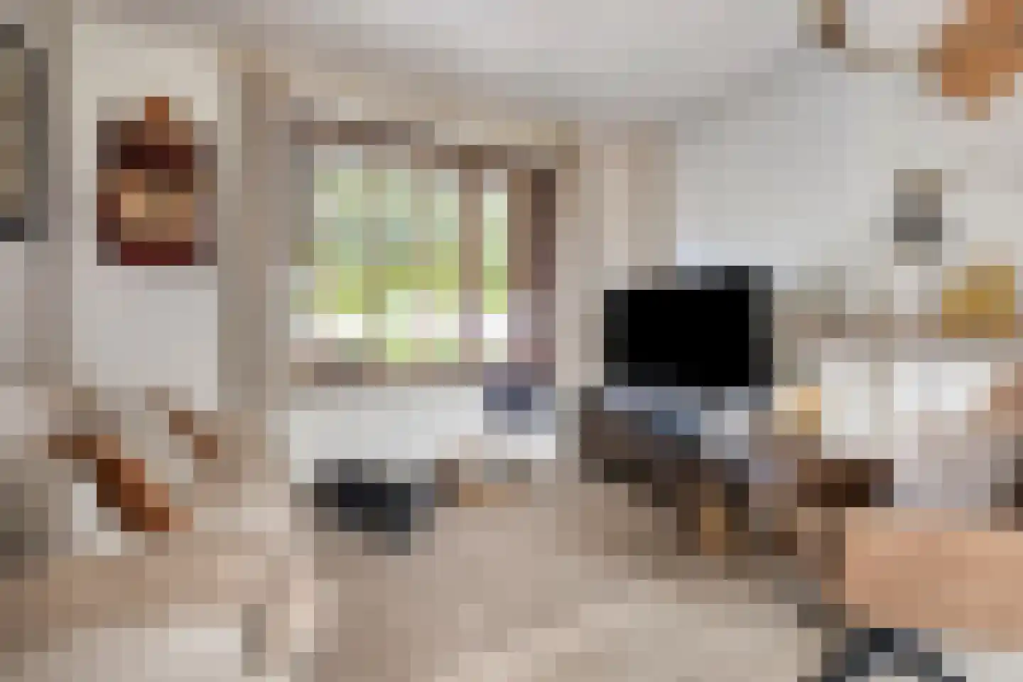 Wouterij 35 Koewacht thumbnail 8