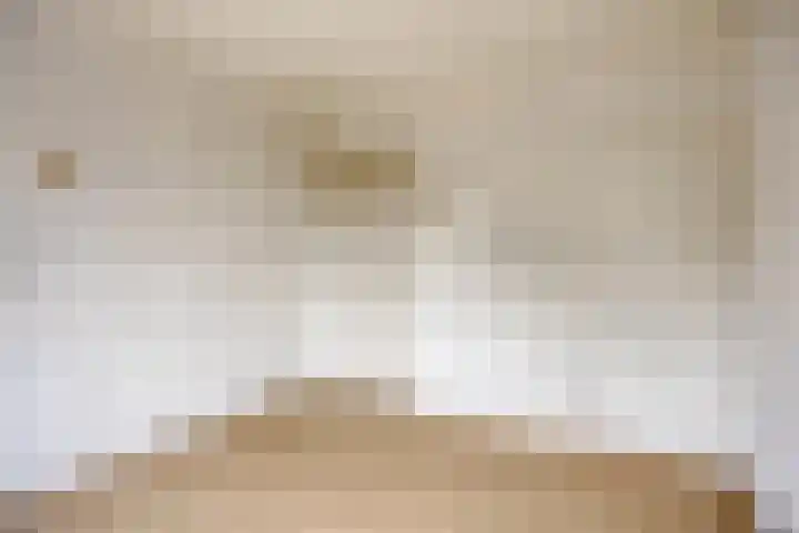 Wouterij 66 Koewacht thumbnail 11