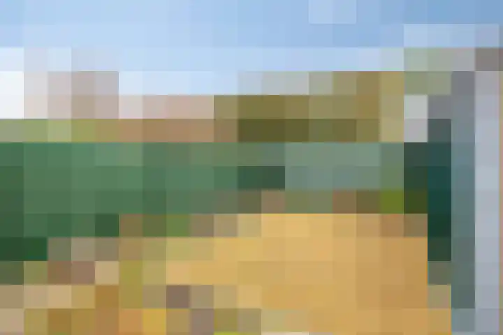 Wouterij 66 Koewacht thumbnail 21
