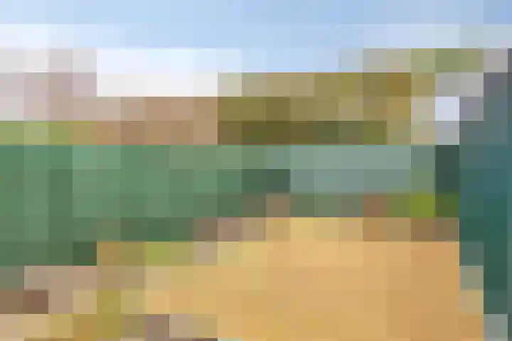 Wouterij 66 Koewacht thumbnail 22