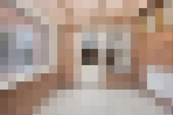 Wouterij 66 Koewacht thumbnail 7