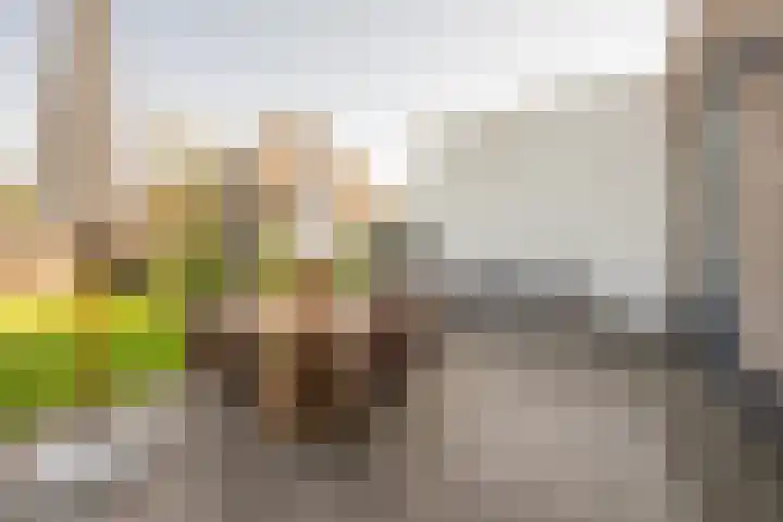 Wouterskamp 15 Voorthuizen thumbnail 10