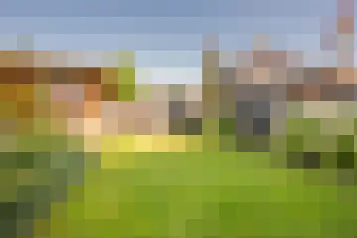 Wouterskamp 15 Voorthuizen thumbnail 11