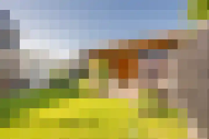 Wouterskamp 15 Voorthuizen thumbnail 31