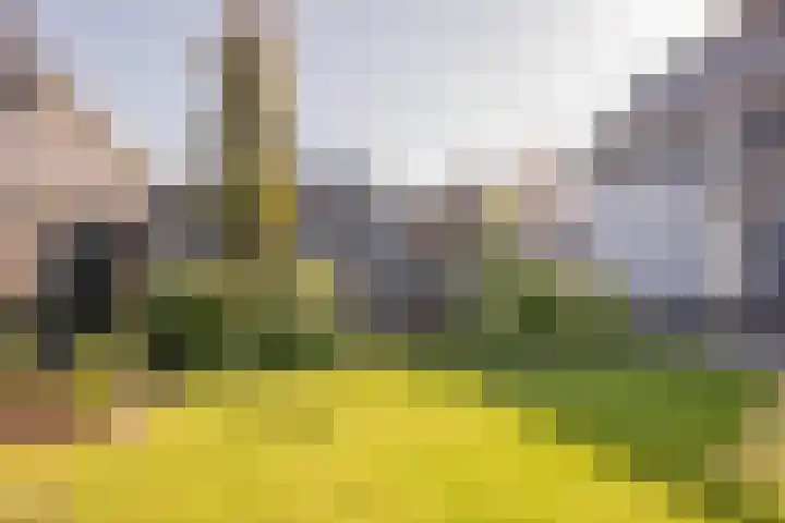 Wouterskamp 15 Voorthuizen thumbnail 33