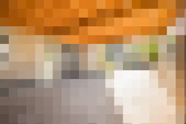 Wouterskamp 15 Voorthuizen thumbnail 34