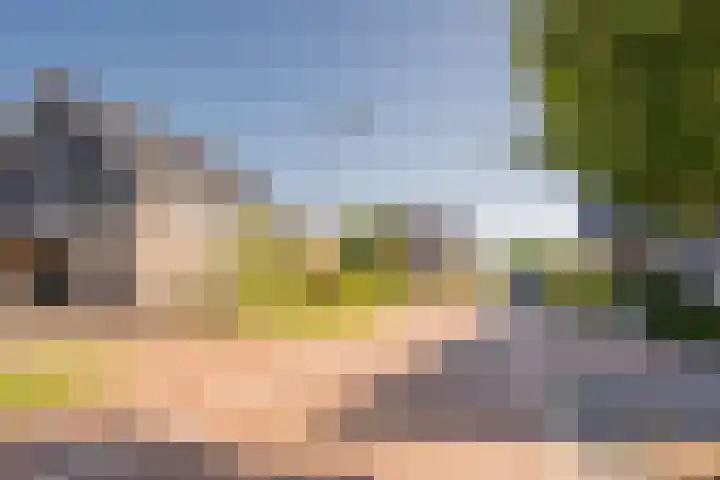 Wouterskamp 15 Voorthuizen thumbnail 37