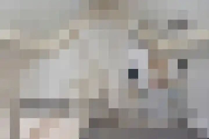 Woutersstraat 16 Beek en Donk thumbnail 21