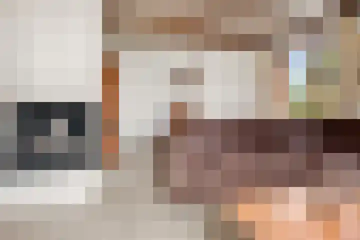 Woutersweg 2 Ede thumbnail 15
