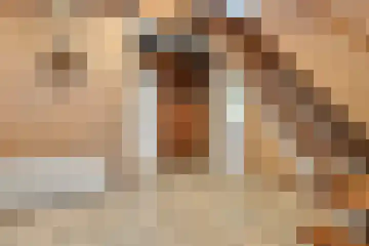 Woutersweg 2 Ede thumbnail 32