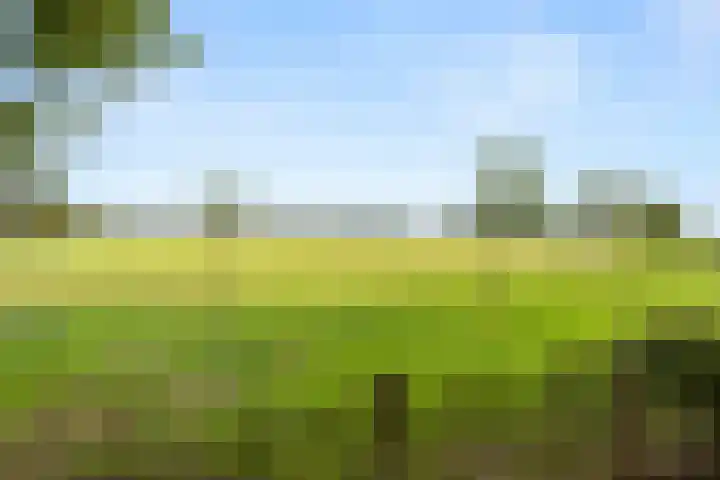 Woutersweg 2 Ede thumbnail 4