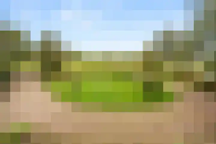 Woutersweg 2 Ede thumbnail 41