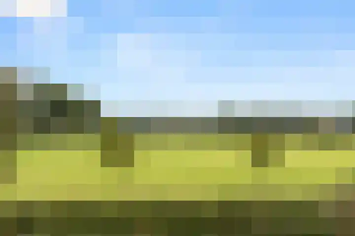Woutersweg 2 Ede thumbnail 42