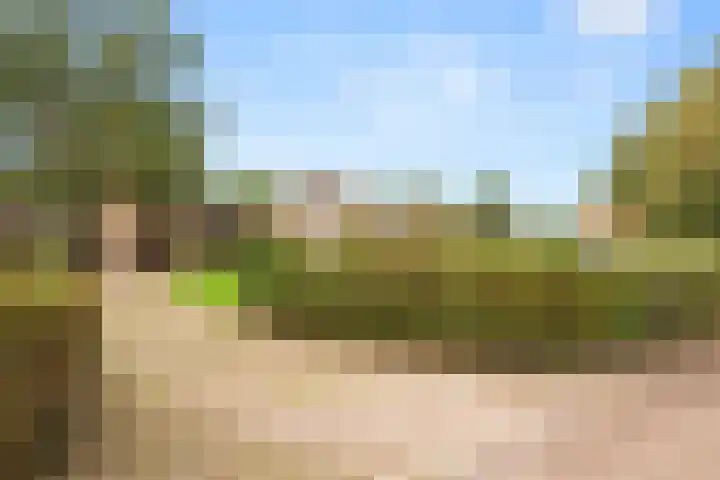 Woutersweg 2 Ede thumbnail 5