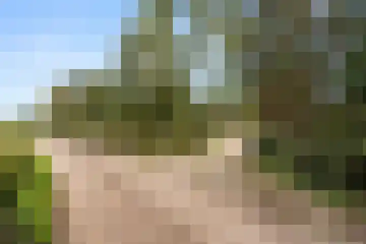 Woutersweg 2 Ede thumbnail 54