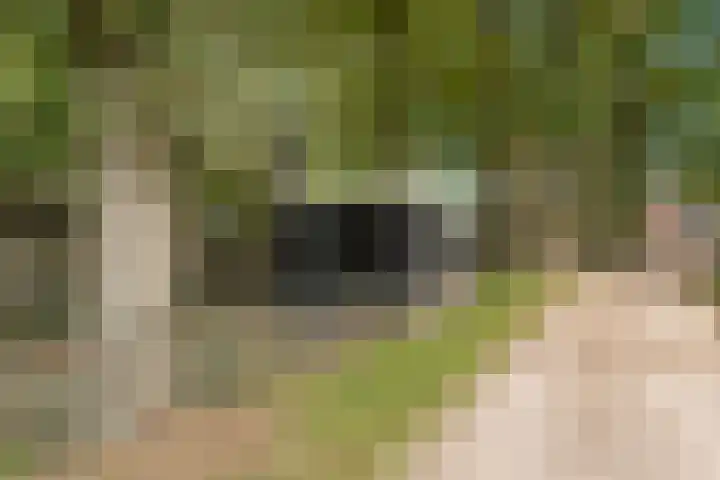 Woutersweg 2 Ede thumbnail 55