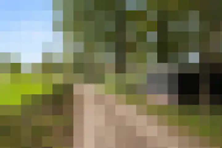 Woutersweg 2 Ede thumbnail 56