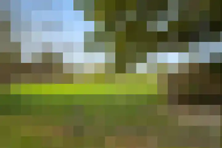 Woutersweg 2 Ede thumbnail 57
