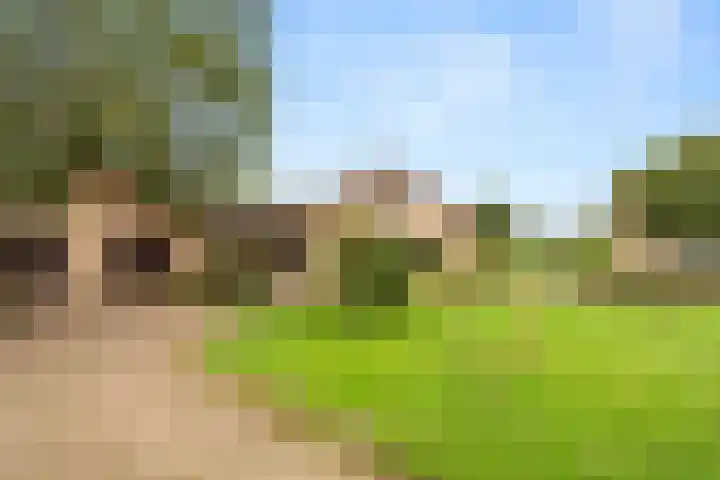 Woutersweg 2 Ede thumbnail 6
