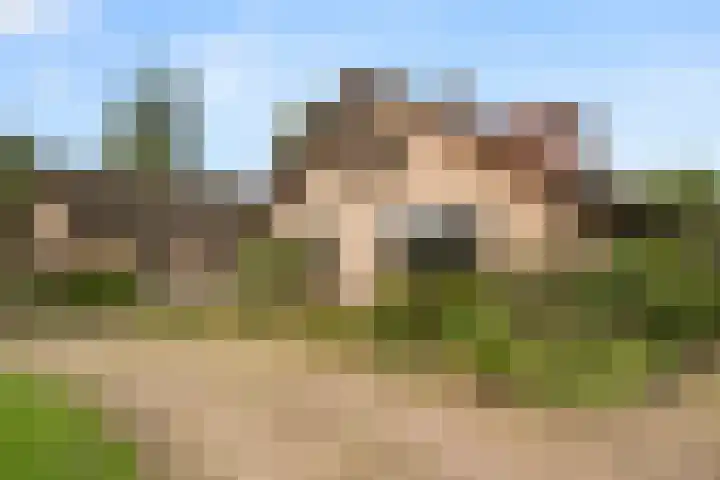 Woutersweg 2 Ede thumbnail 8