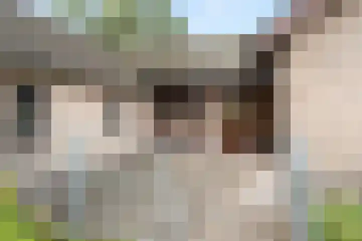 Woutersweg 2 Ede thumbnail 9