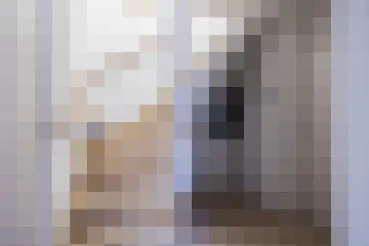 Woutertje Pietersestraat 15 Oosterhout thumbnail 5