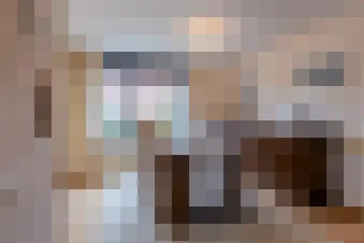 Woutertje Pietersestraat 17 Oosterhout thumbnail 13