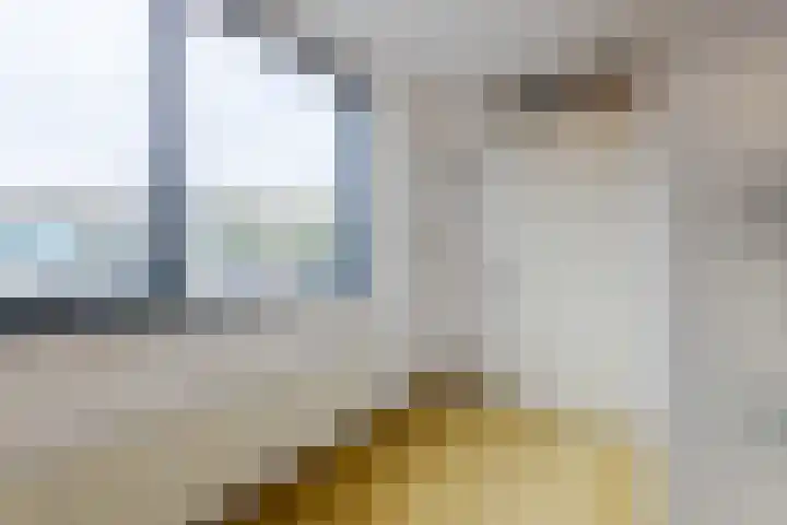Woutertje Pietersestraat 17 Oosterhout thumbnail 27