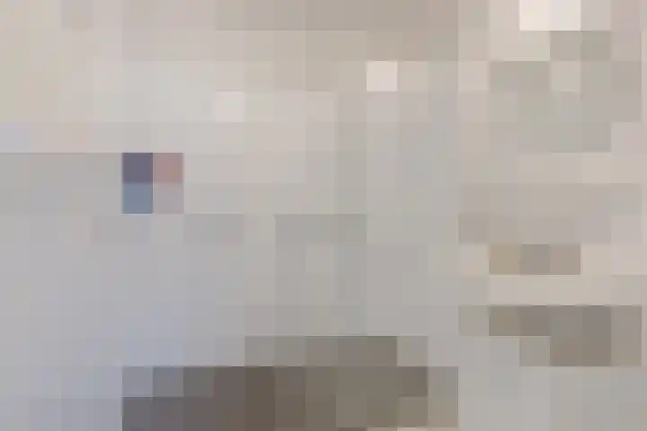 Woutertje Pietersestraat 17 Oosterhout thumbnail 5