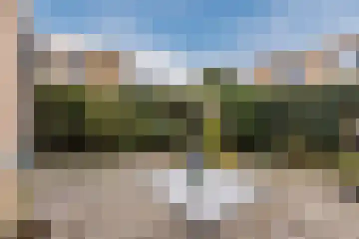 Woutertje Pietersestraat 17 Oosterhout thumbnail 6