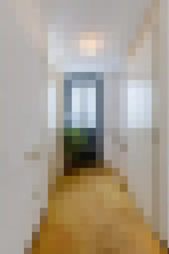 Woutertje Pietersestraat 17 Oosterhout thumbnail 7