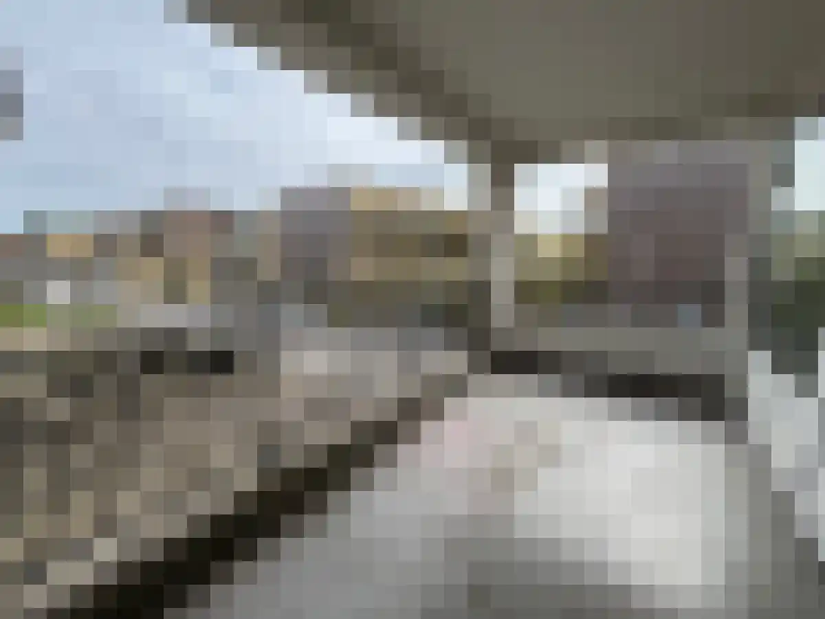 Woutertje Pietersestraat 40 1 Amsterdam thumbnail 5