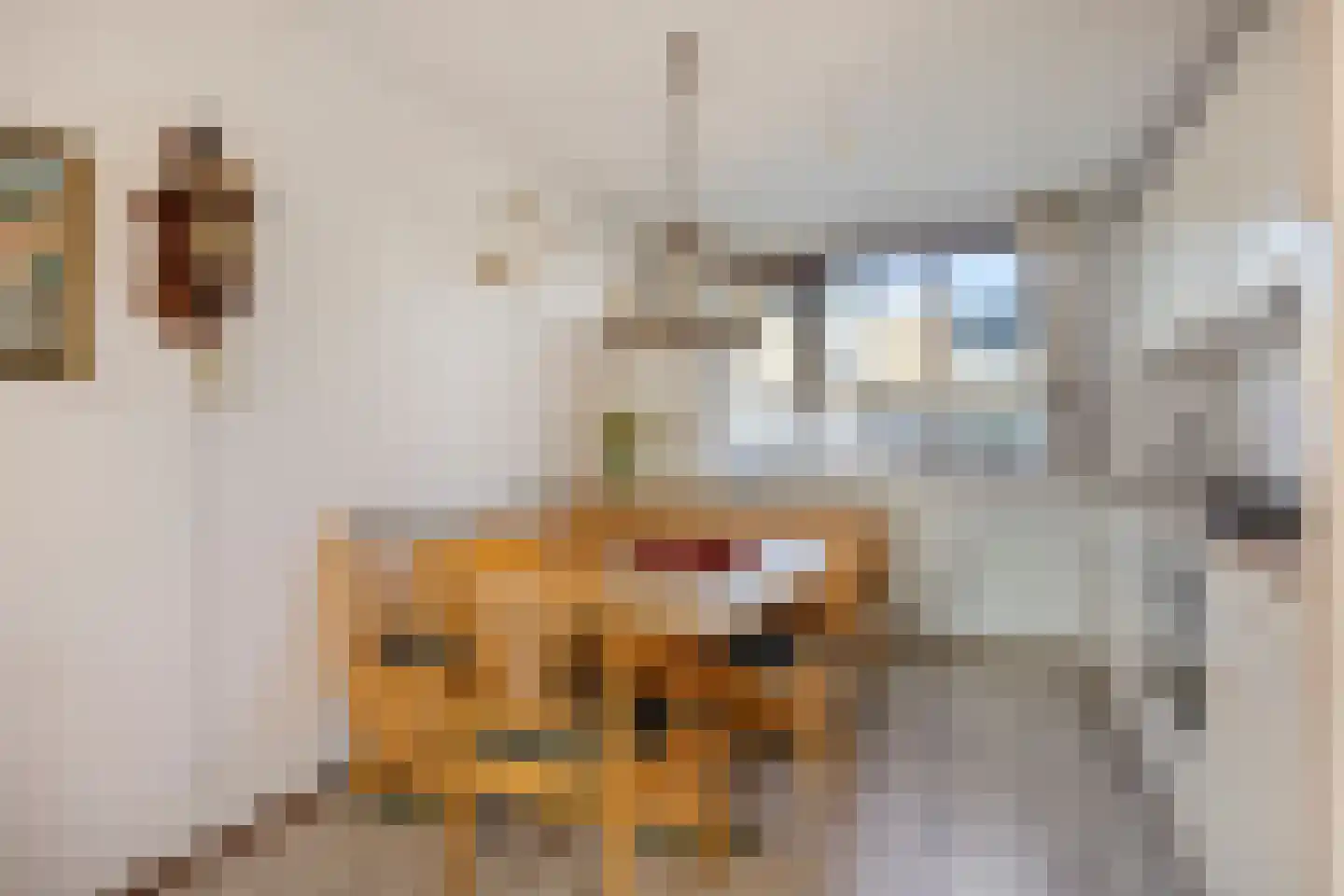 Woutertje Pietersestraat 7 Zaandam thumbnail 11