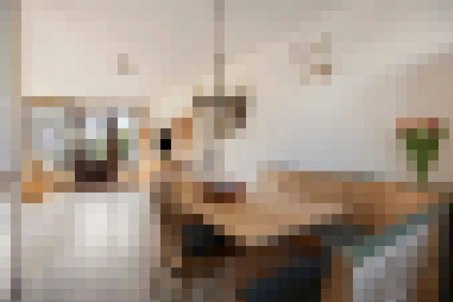 Woutertje Pietersestraat 7 Zaandam thumbnail 13