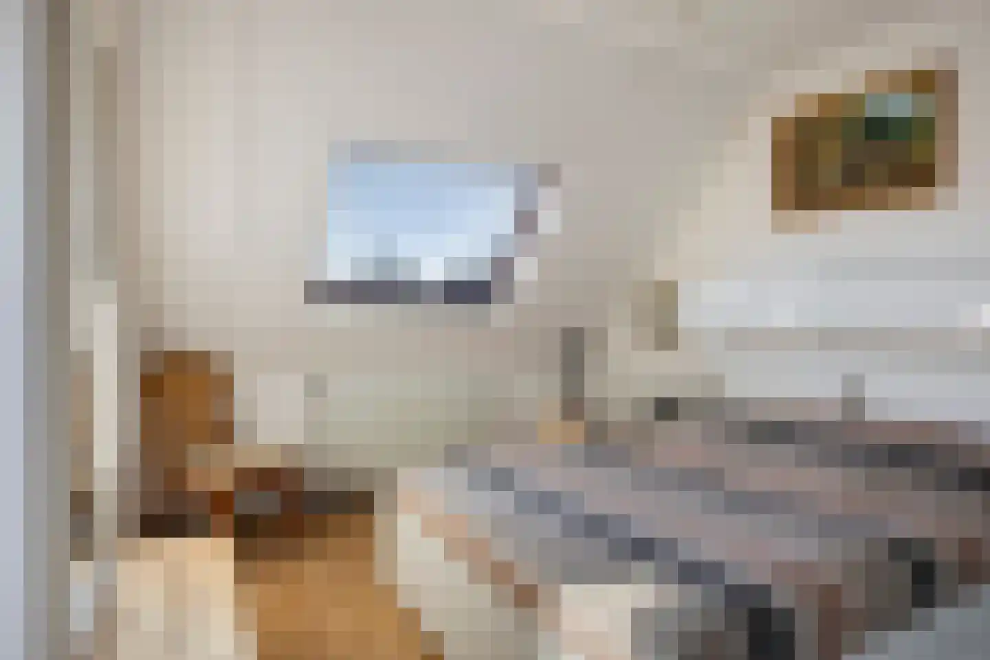 Woutertje Pietersestraat 7 Zaandam thumbnail 17