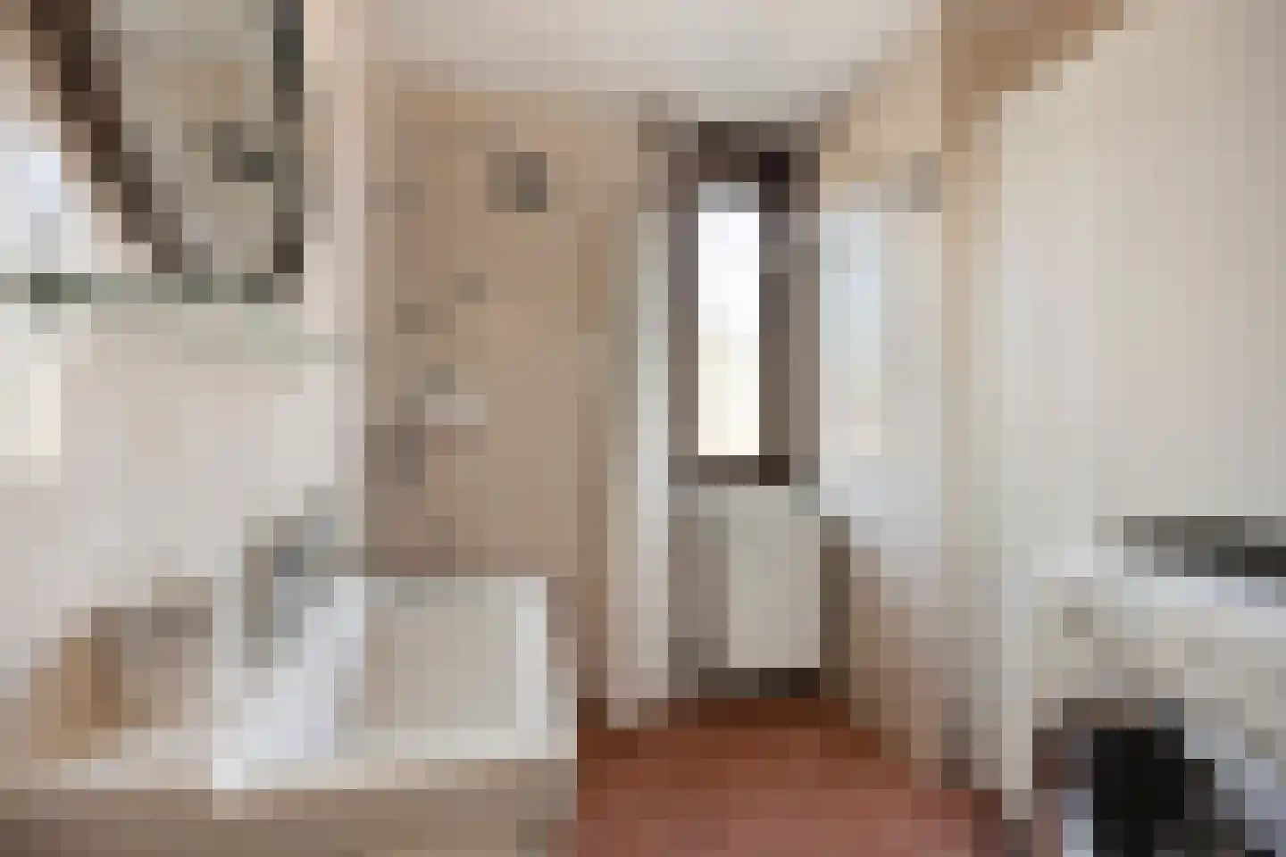 Woutertje Pietersestraat 7 Zaandam thumbnail 21