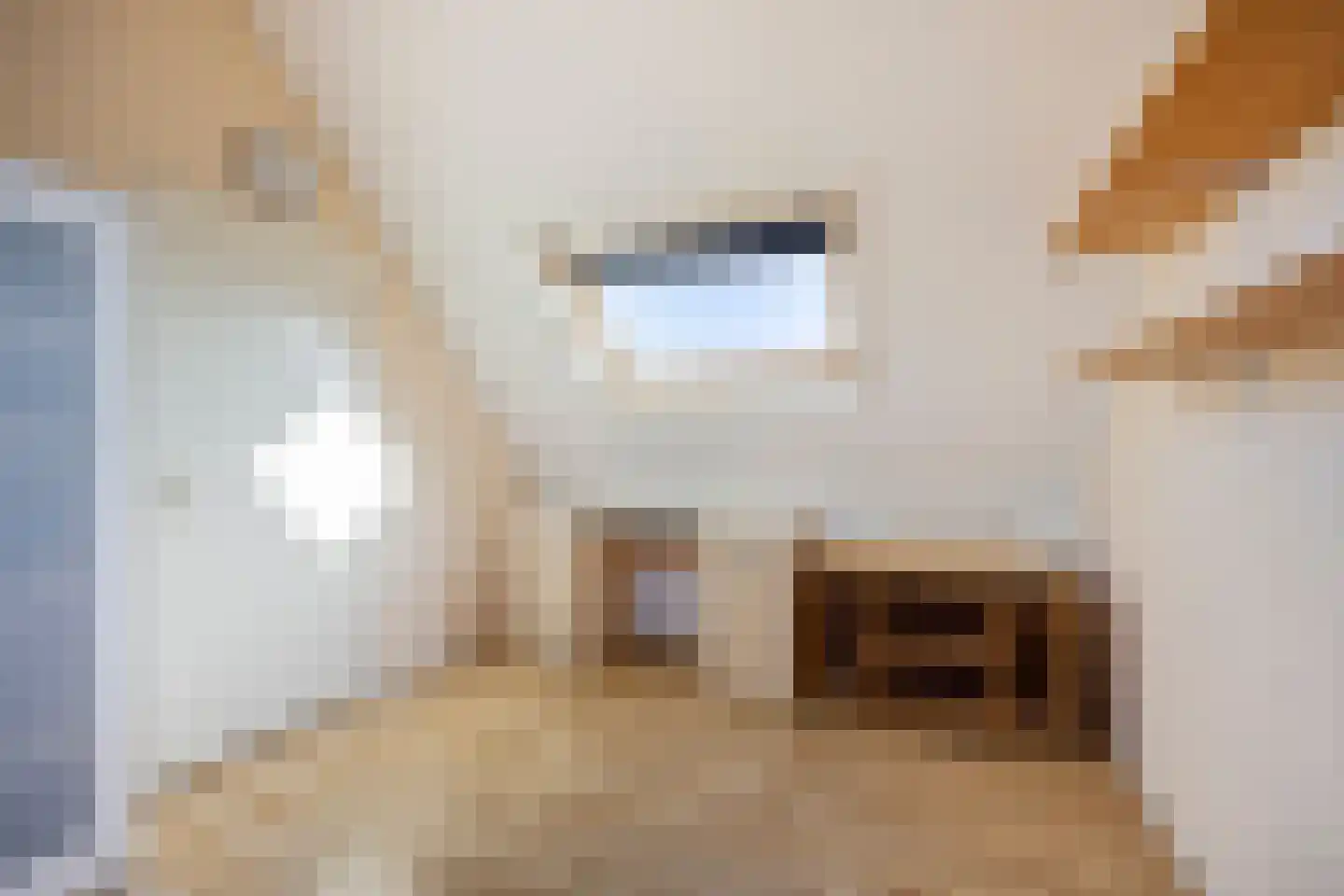 Woutertje Pietersestraat 7 Zaandam thumbnail 23