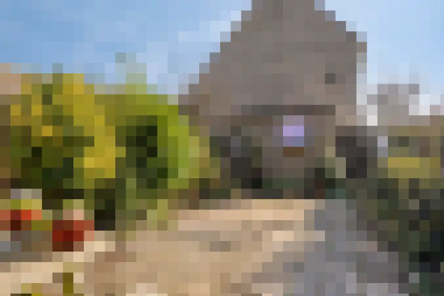 Woutertje Pietersestraat 7 Zaandam thumbnail 28