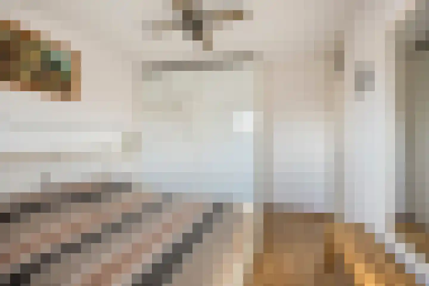 Woutertje Pietersestraat 7 Zaandam thumbnail 4