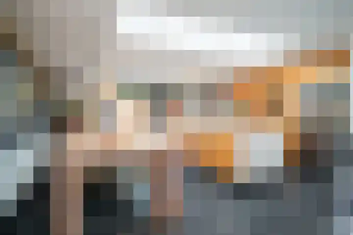 Wouterus van der Doelenstraat 10 's-Hertogenbosch thumbnail 11