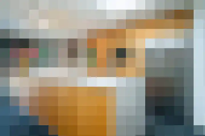 Wouterus van der Doelenstraat 10 's-Hertogenbosch thumbnail 14
