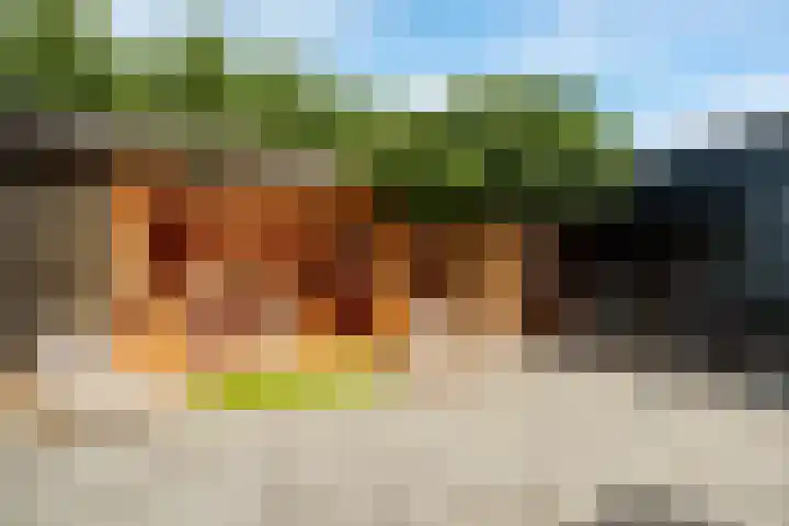 Wouterus van der Doelenstraat 10 's-Hertogenbosch thumbnail 22