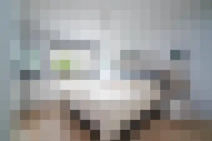 Wouterus van der Doelenstraat 10 's-Hertogenbosch thumbnail 30