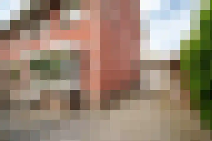 Wouterus van der Doelenstraat 10 's-Hertogenbosch thumbnail 41