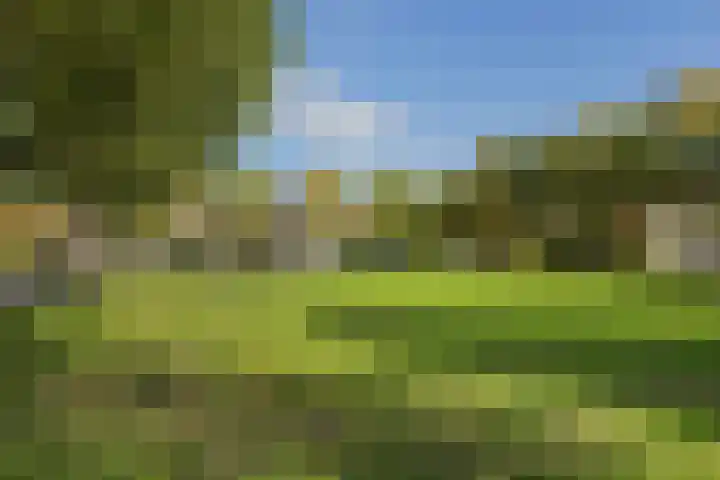Wouterus van der Doelenstraat 10 's-Hertogenbosch thumbnail 42