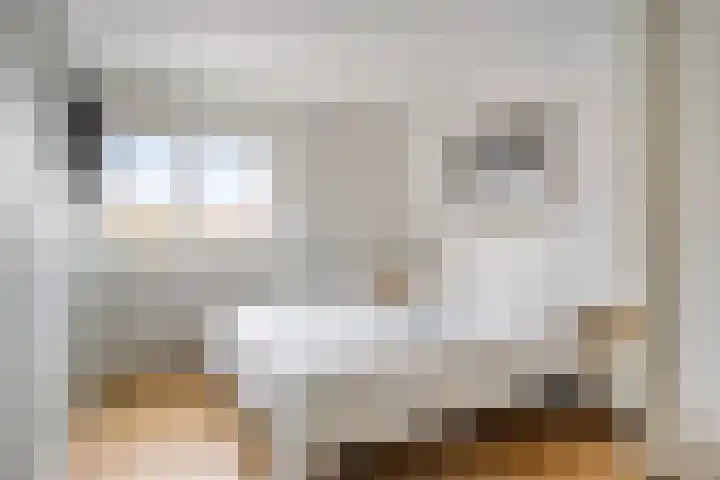 Wouw 3 Valkenswaard thumbnail 10
