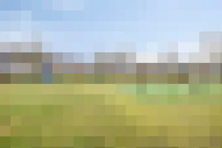 Wouw 3 Valkenswaard thumbnail 23